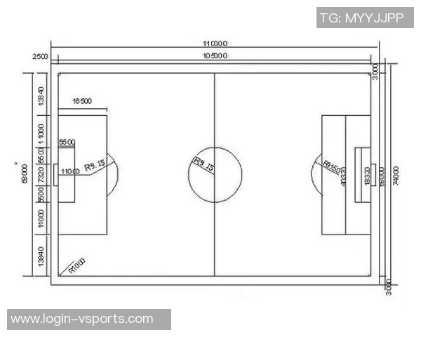 欧洲足球场尺寸标准解析及其对比赛的影响与应用