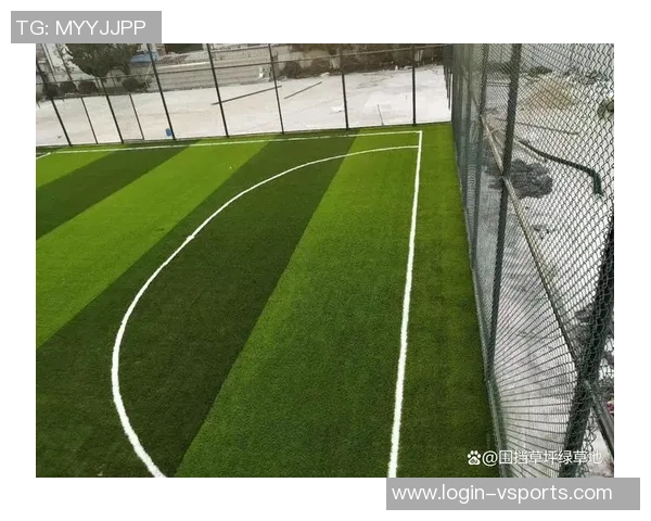 足球场草坪适合使用的草种及其特点分析与选择指南 足球场草坪适合使用的草种及其特点分析与选择指南